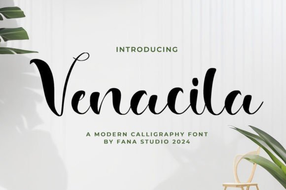 Venacila: Elevating Design with Handwritten Typographic Beauty