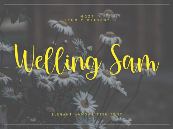 Welling Sam: A Font That Merges Timeless Elegance with Modern Design